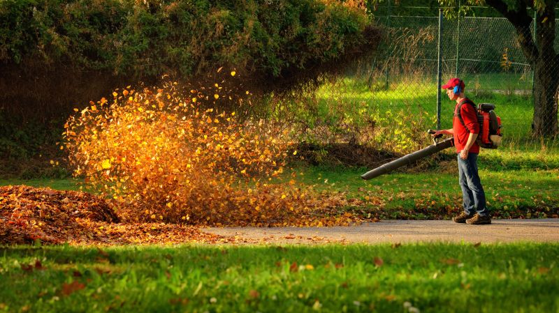 Fall Leaf Removal Equipment