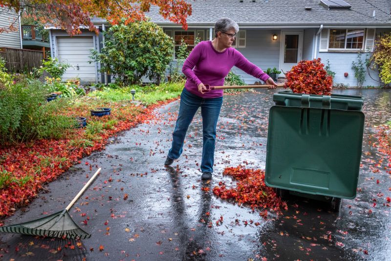 Fall Cleanup Efforts
