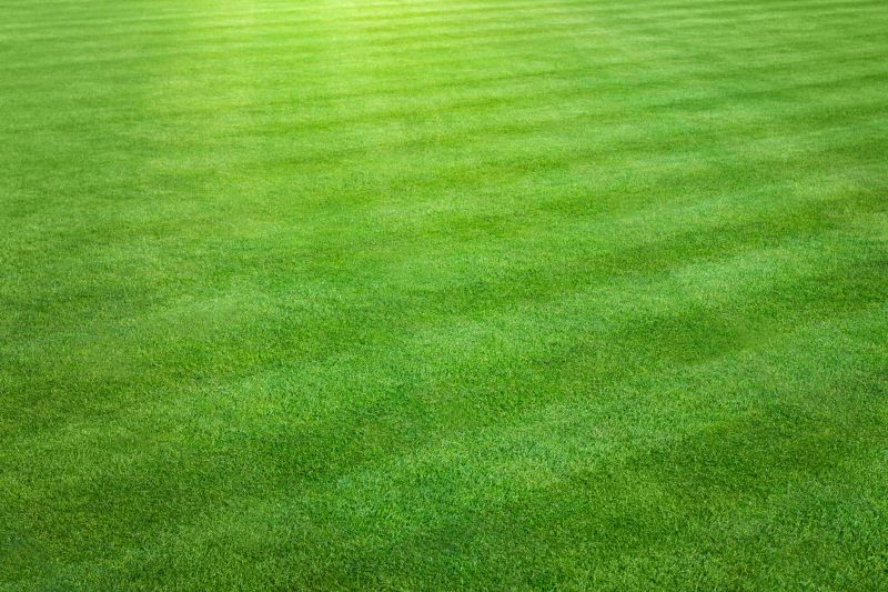 Weekly Lawn Care detail