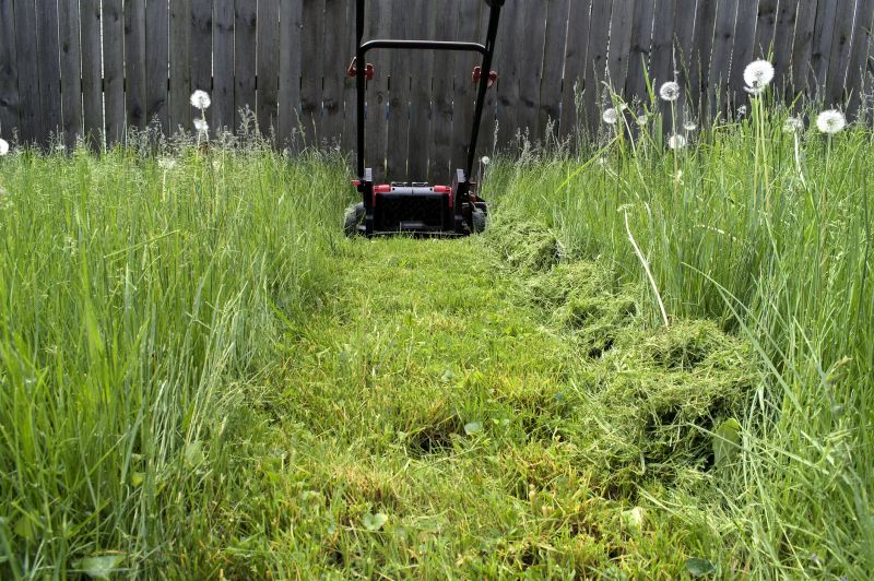 Lawn Trimming Tools