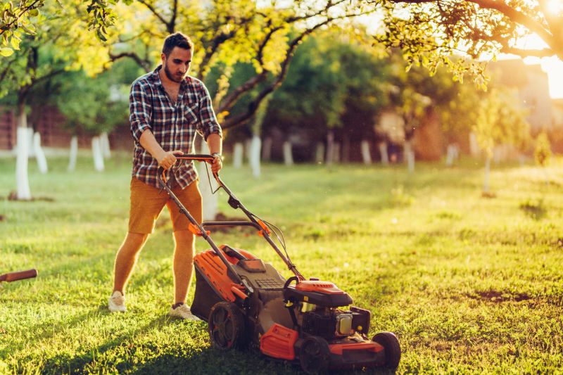 Routine Lawn Maintenance