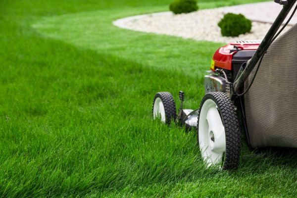 Lawn Cutting Service in Fredericksburg