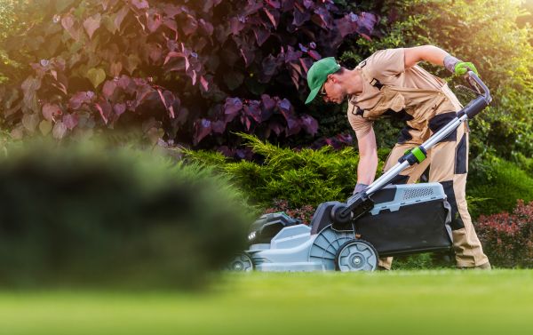 Yard Care Service in Fredericksburg