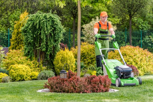 Yard Service in Fredericksburg