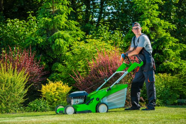 Yard Work Service in Fredericksburg