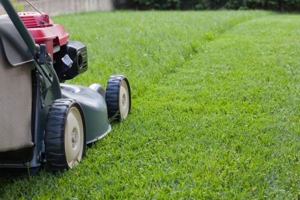Residential Lawn Care in Fredericksburg