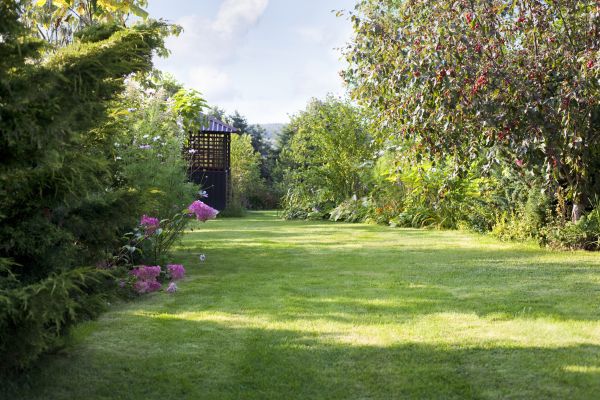 Yard Upkeep Service in Fredericksburg
