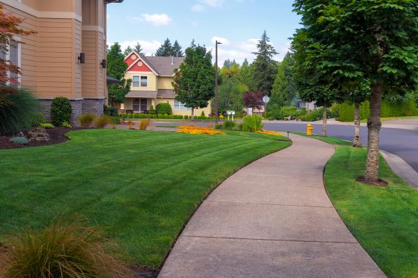 Home Lawn Maintenance in Fredericksburg