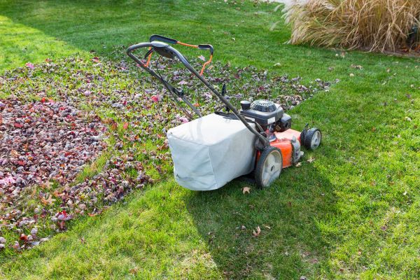 Seasonal Lawn Care in Fredericksburg