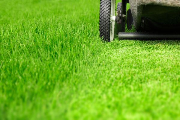 Weekly Lawn Care in Fredericksburg