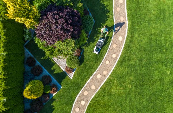 Mowing And Landscaping in Fredericksburg