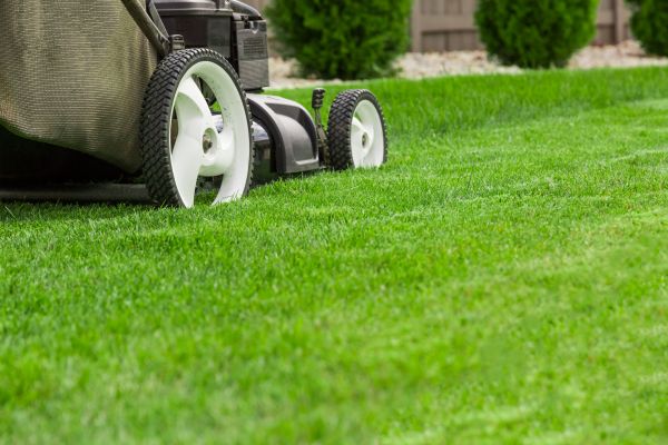 Lawn Mowing Service