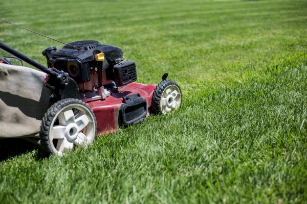 Routine Lawn Care in Fredericksburg