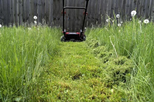 High Grass Mowing in Fredericksburg