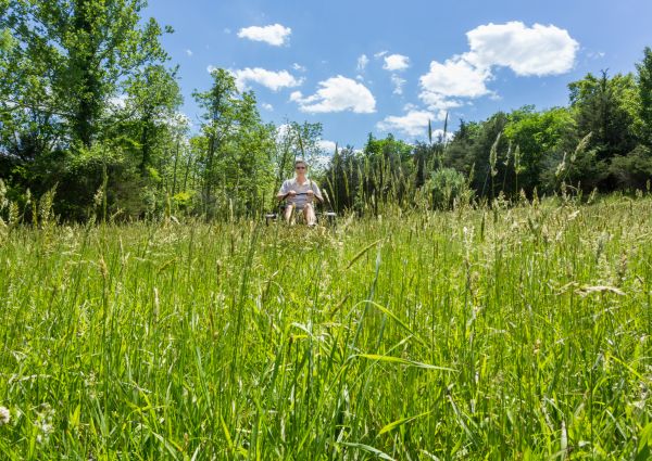 Long Grass Mowing in Fredericksburg