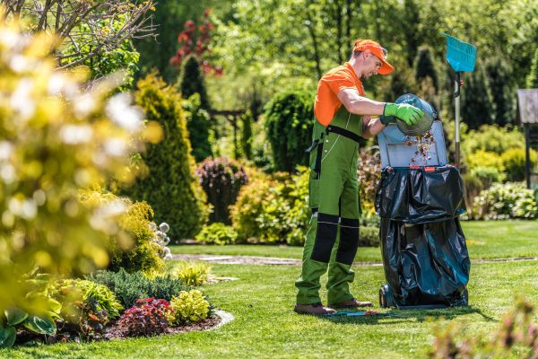 Lawn Cleaning Service in Fredericksburg
