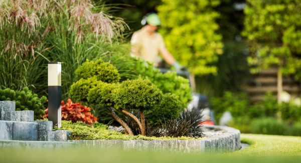 Residential Yard Maintenance in Fredericksburg