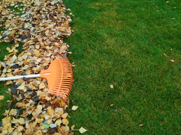 Fall Lawn Care in Fredericksburg
