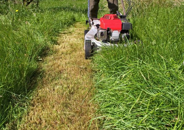 Leaf Mowing in Fredericksburg