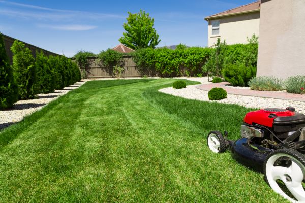 Residential Lawn Mowing in Fredericksburg